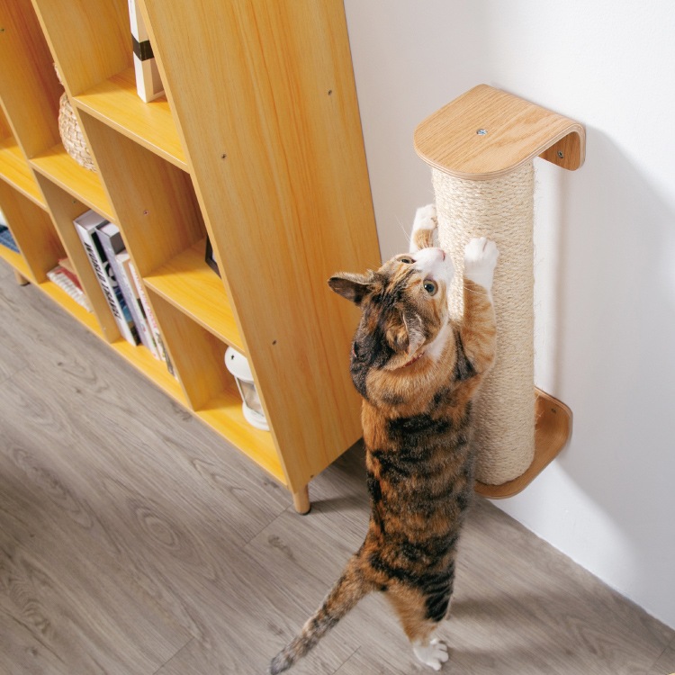 MYZOO マイズー CYLINDER シリンダー 交換用ポール単体 爪とぎ