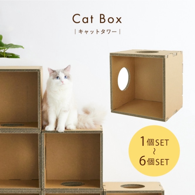 KM ����åȥܥå���-����åȥ�� KM-AW-025-01-f-01  ��6�� 1�ĥ��å�/2�ĥ��å�/3�ĥ��å�/4�ĥ��å�/5�ĥ��å�/6�ĥ��å�#Cat Box paper new standard ���殺���ޥå����� KAWAGUCHI MAC DISPLAY �ͤ� ����� �ȶ� �����ʥܡ��� Re-board �ڤ� ����