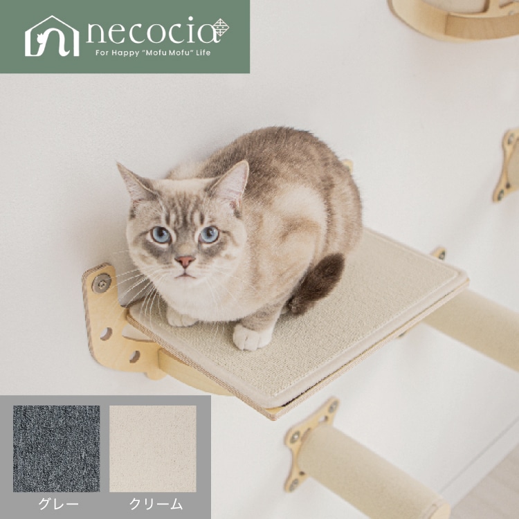 NC ������ɥ���åȥ������������դ��ӥ����� 1�� ���顼 ����󥰥졼/��å����꡼�� #�ͥ����� necocia �ͤ� catwalk �ڥå�