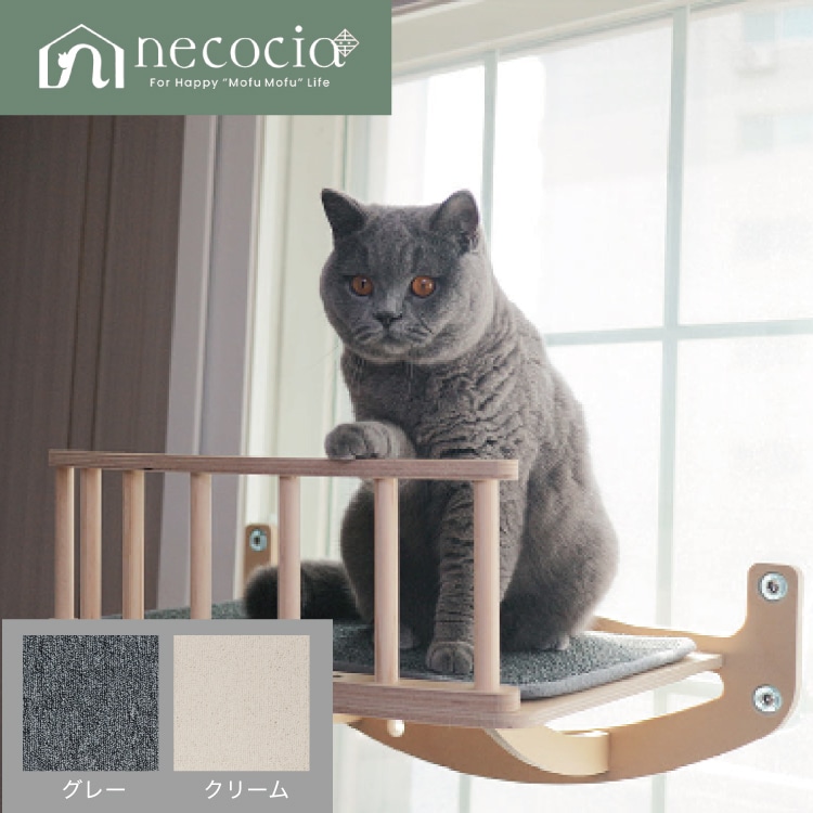 NC ������ɥ���åȥ������������դ��̥����� 1�� ���顼 ����󥰥졼/��å����꡼�� #�ͥ����� necocia �ͤ� catwalk �ڥå�