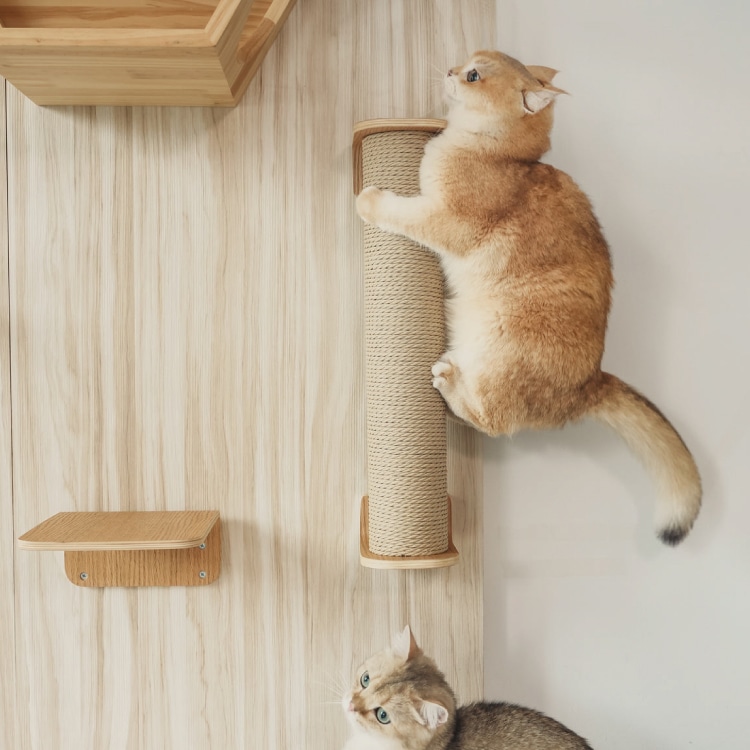 取り寄せ MYZOO マイズー CYLINDER2 交換用ポール シリンダー 縄材質