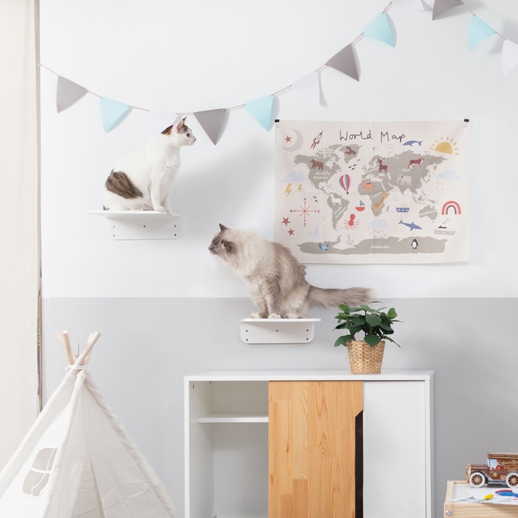 MYZOO マイズー LACK ラック カラー・サイズ 全4種 【2個入り