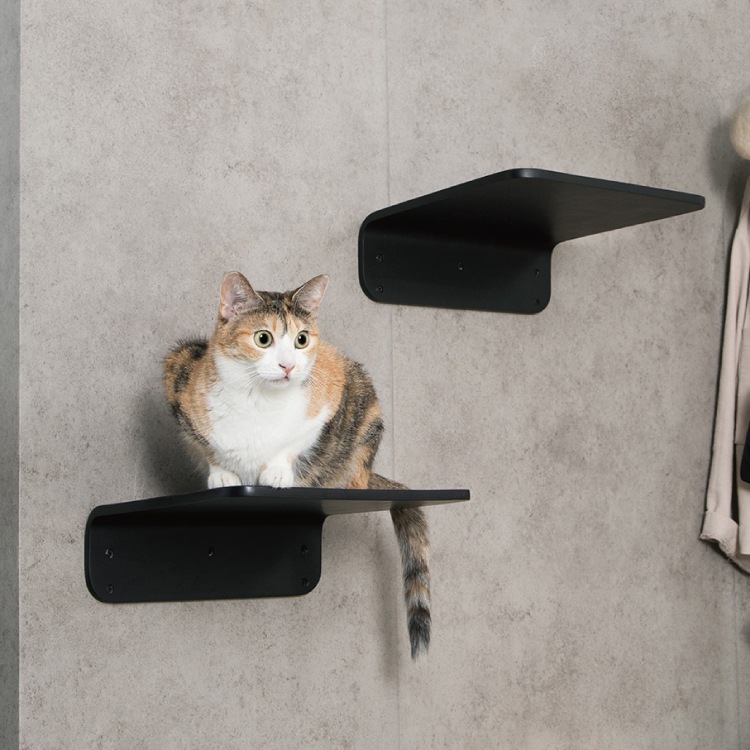 MYZOO マイズー LACK ラック カラー・サイズ 全4種 【2個入り