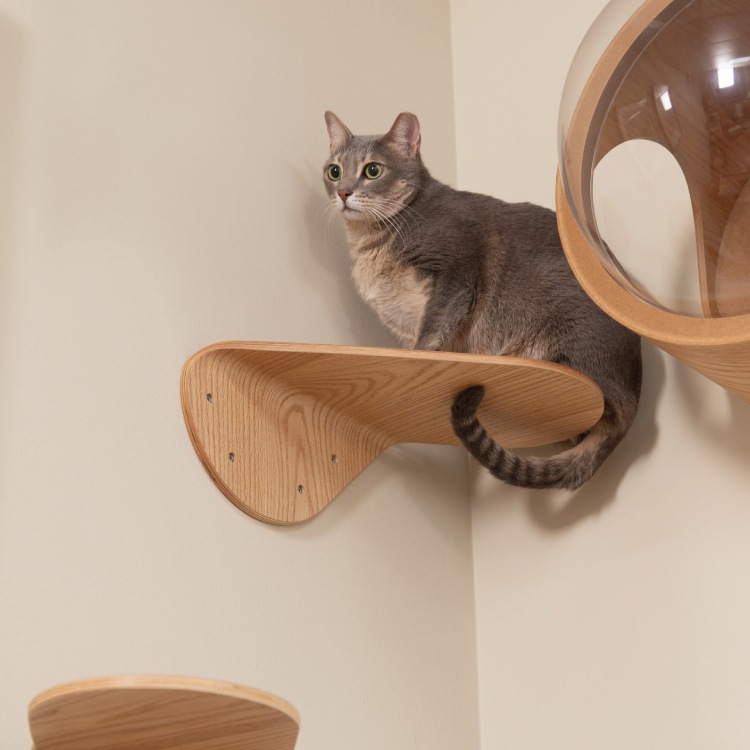 取り寄せ MYZOO マイズー LACK-TILT ラック ティルト ステップ向き