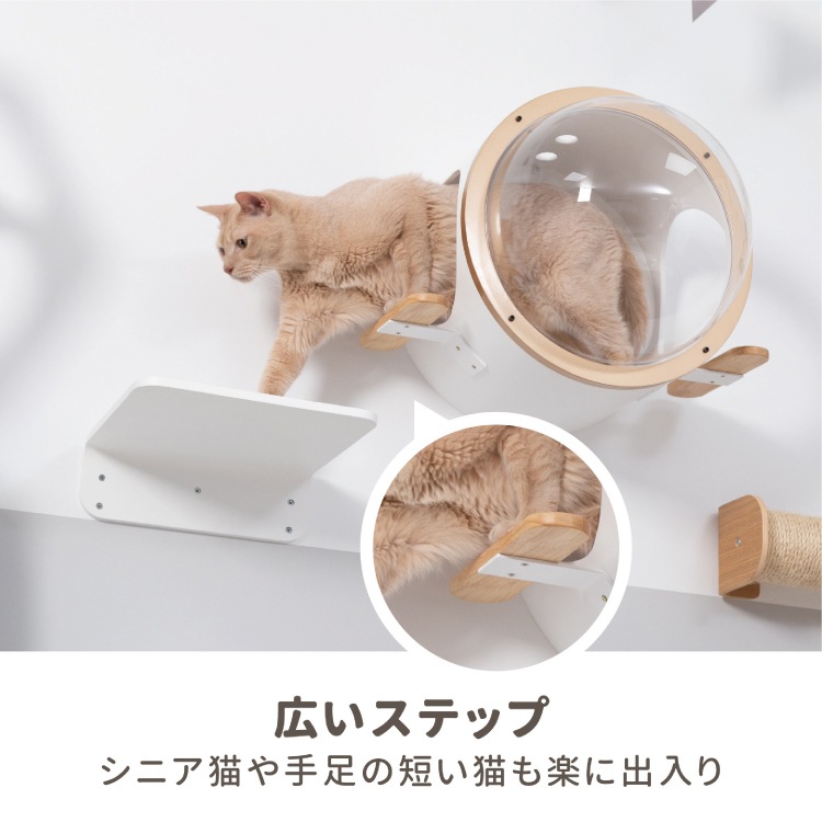 お取置き　ピクチャージャスパー　猫　サーバルキャット　置物　天然石 取り寄せ MYZOO マイズー 潜水艇 OCEAN ROVER オーシャンローバー