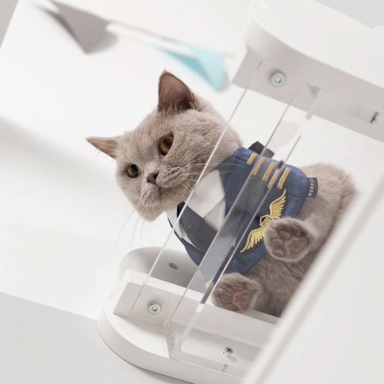 MYZOO マイズー MYZOO-MOKU ホワイト 白 モク 木 クリア 透明