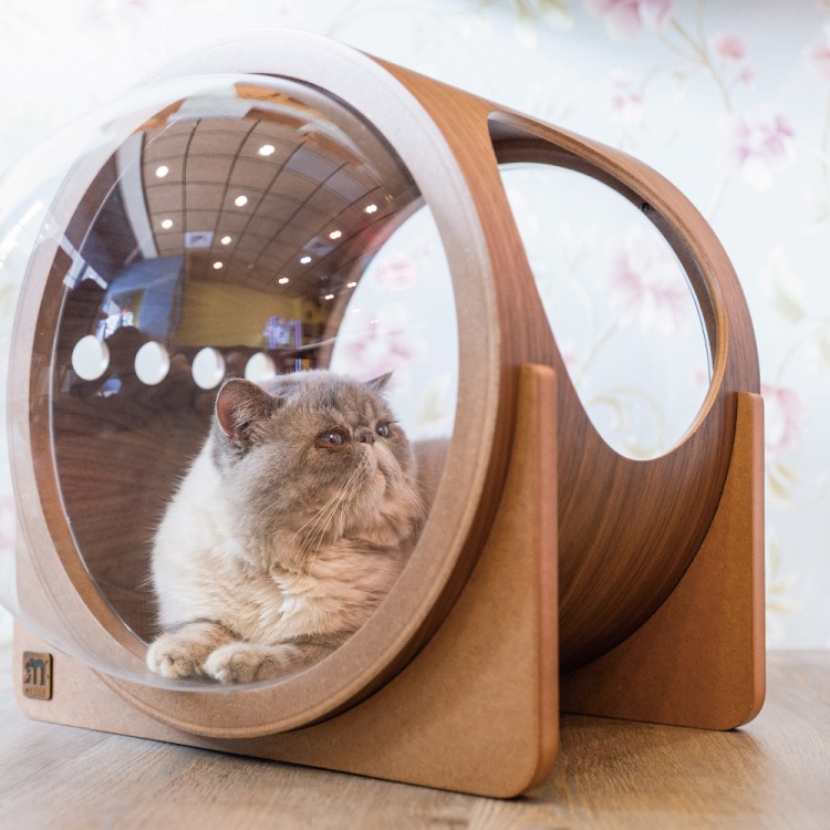 取り寄せ MYZOO マイズー 宇宙船 ALPHA アルファ ウォールナット 【1個