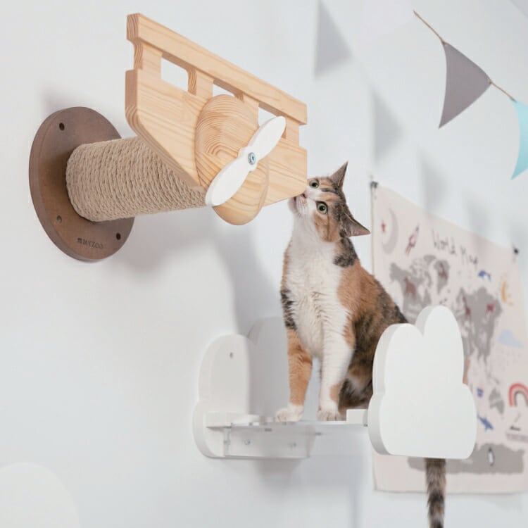 MYZOO マイズー PLANE プレーン 【1個】 キャットウォーク キャット