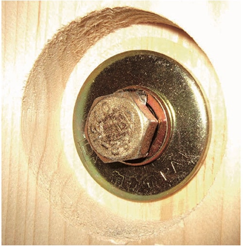 スプリングワッシャー丸座金 M12×45×4.5 ［25枚 (5枚×5セット)］Z