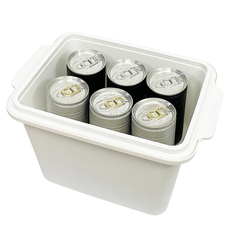 金曜限定断捨離企画　新品　ホットトイズ フラッシュ ボーナスアクセサリー付き ホットトイズ・アクセサリー・コレクション | 株式会社ホット