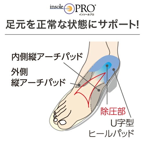 インソールプロ レディ 足底筋膜炎対策 Lサイズ(24～25cm) ［1個