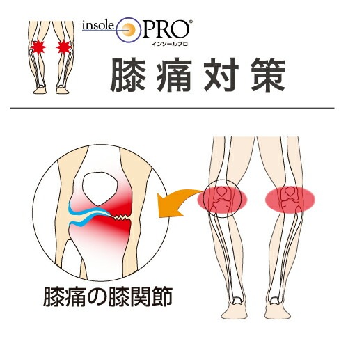 インソールプロ レディ 膝痛対策 Sサイズ(22～22.5cm) ［1個］ 女性用