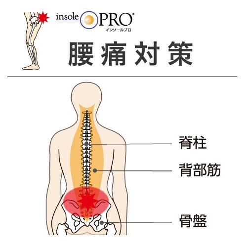 インソールプロ レディ 腰痛対策 Sサイズ(22～22.5cm) ［1個