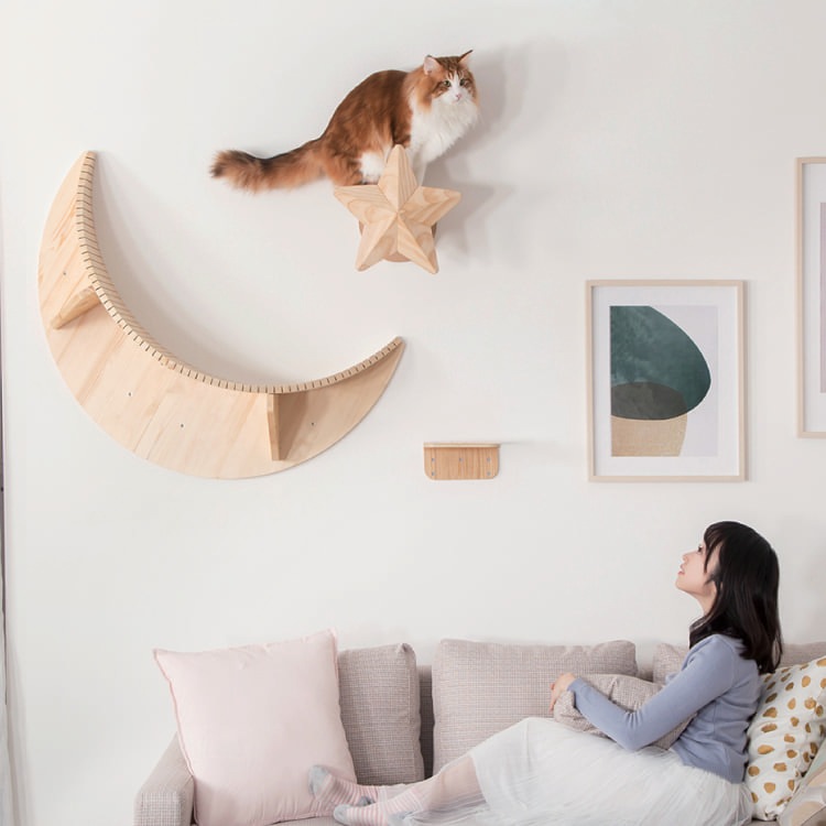 MYZOO マイズー STAR スター 【1個】 キャットウォーク キャット