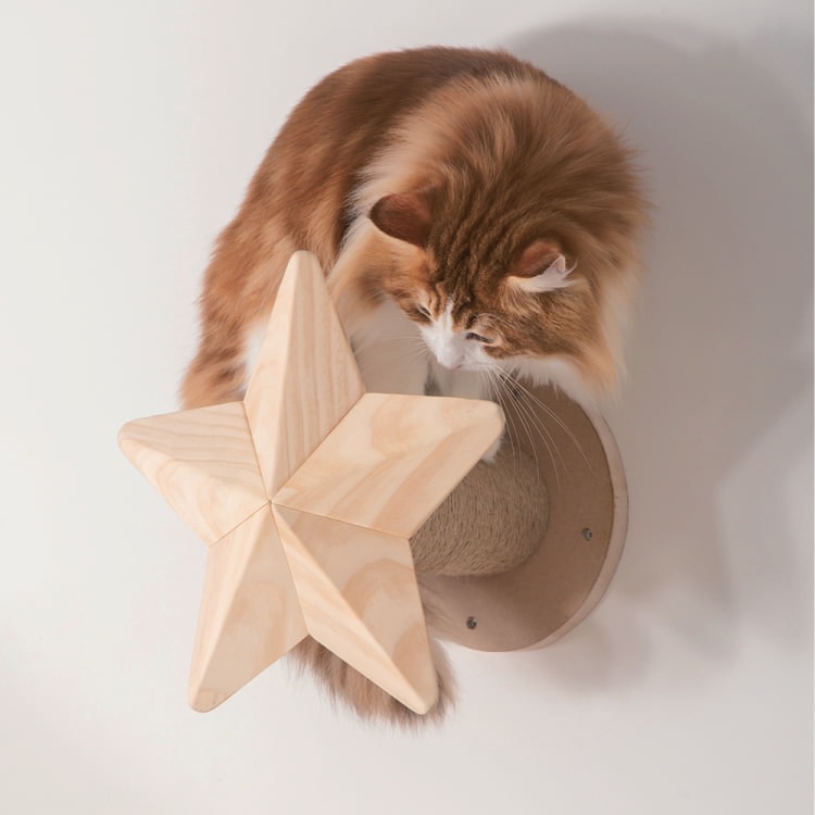 MYZOO マイズー STAR スター 【1個】 キャットウォーク キャット