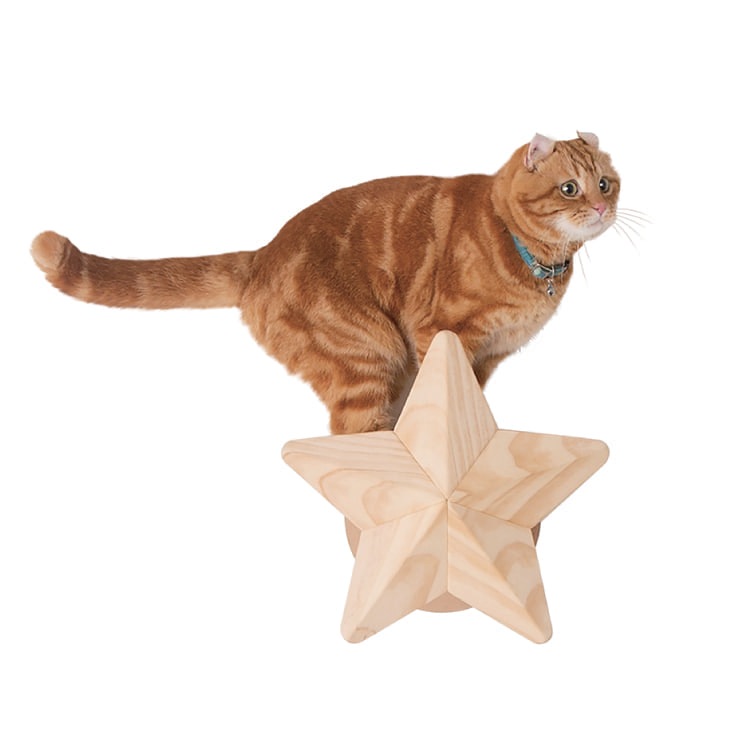 キャプテン21様　キャットステップ オーダー キャプテン21様 キャットステップ オーダー