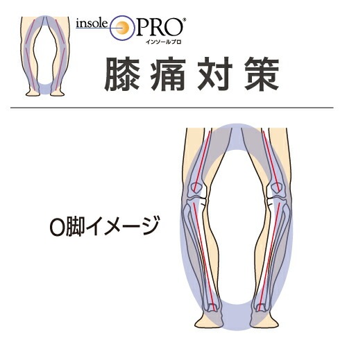 りり購入前プロフ必読／足負傷中発送7日！ りり購入前プロフ必読／出品しきれてません様 リクエスト 2点