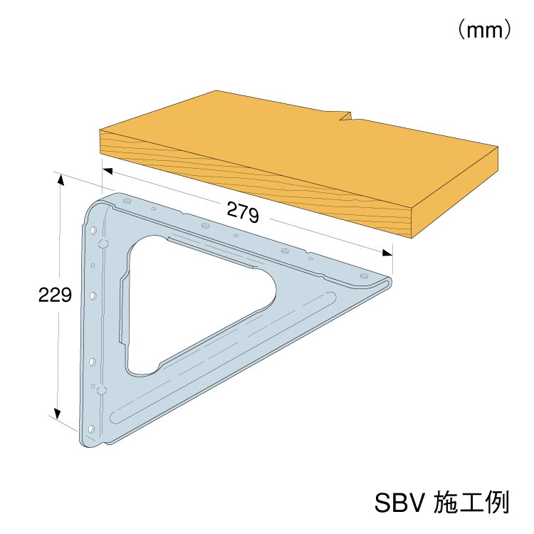【kshino様受注製作】D50向けホヤ　アンバー×2個セット Tokinone PB.角型揚げざる 067586