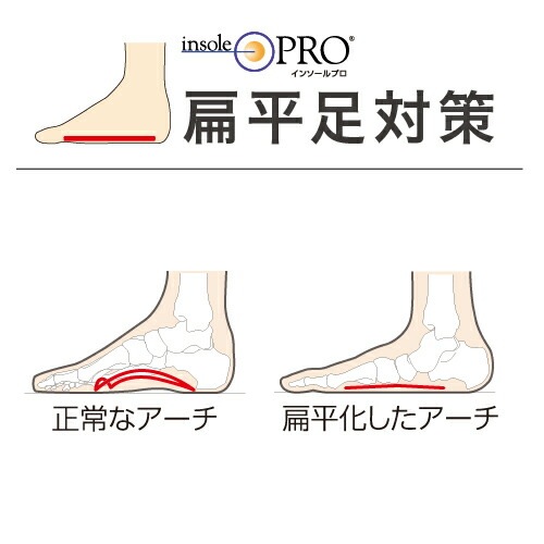 インソールプロ メンズ 偏平足対策 Mサイズ(25～25.5cm) ［1個］ 男性