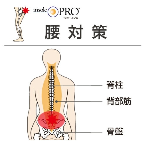 インソールプロ メンズ 腰対策 XXLサイズ(29～30cm) ［1個］ 男性用 腰