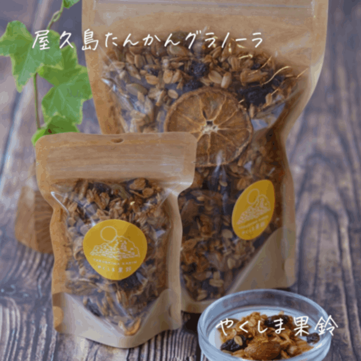 るーくろ　屋久島たんかん　L良 10キロ 2024年産 屋久島たんかん「はるか」Lサイズ 2kg【3箱セット