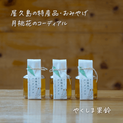 �䤯���޷����֤Υ����ǥ�����