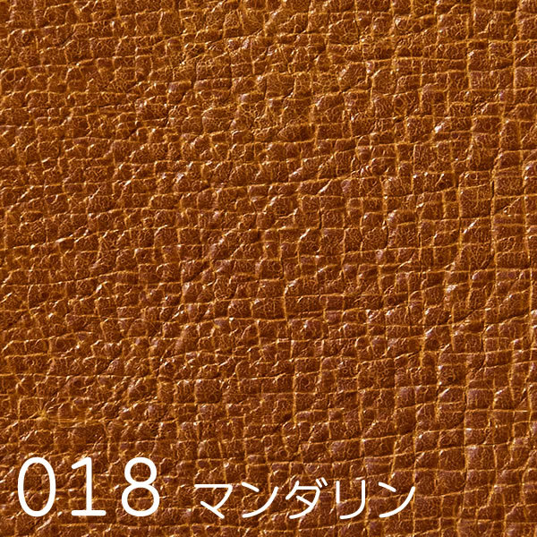 Extra (エクストラ)