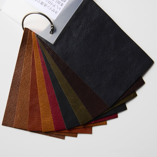 Extra (エクストラ)　スワッチ