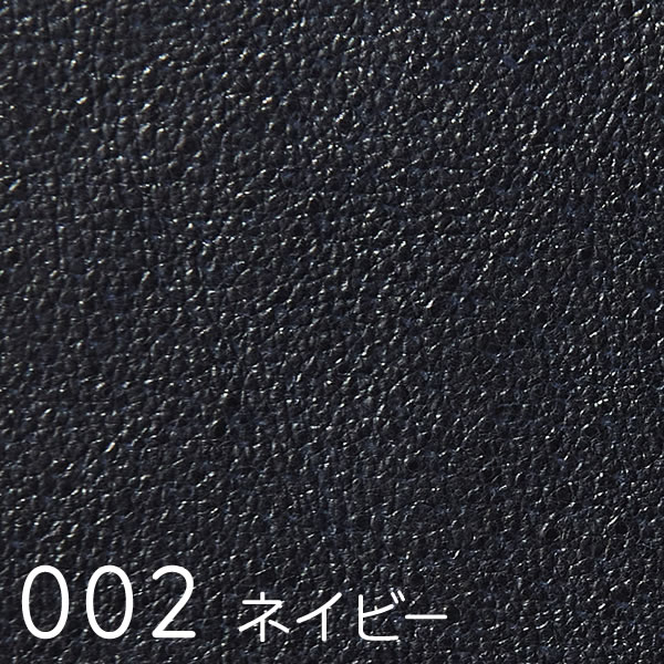 Extra (エクストラ)　スワッチ