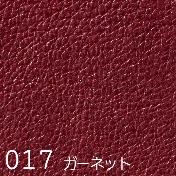 Extra (エクストラ)　スワッチ