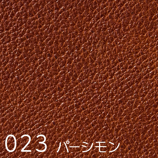 Extra (エクストラ)　スワッチ