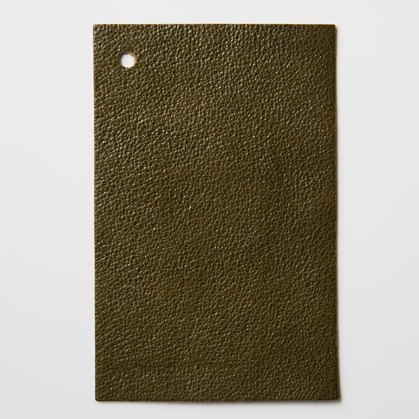 Flank (フランク)　スワッチ