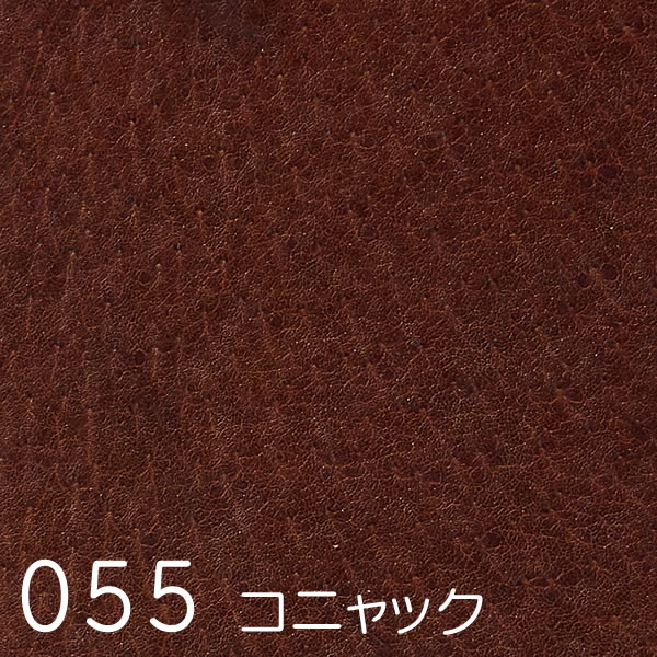 Spine (スパイン)