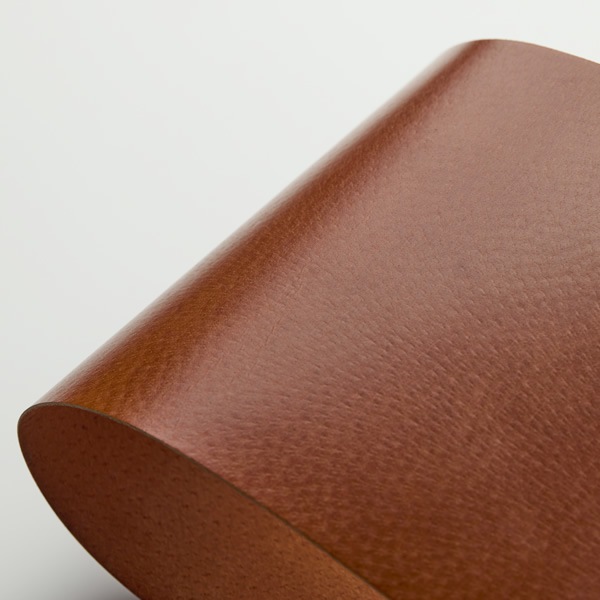 Spine (スパイン)