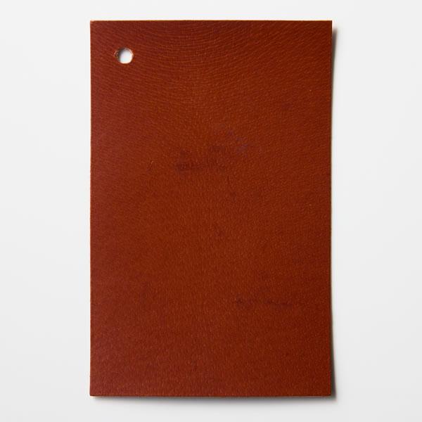 Spine (スパイン)　スワッチ