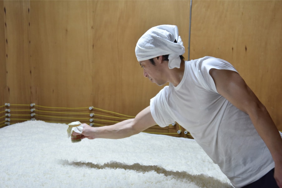 ★シュウ★香り良い伊豆産原木栽培の特選こうしん3.5～4㎝品280ｇ×３袋 ☆特許製法☆低温乾燥原木干し椎茸（こうしん）40g | 岩城町農園