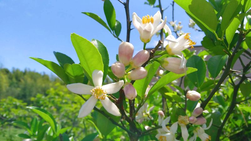 久保養蜂場のバラエティセット 130g×3個