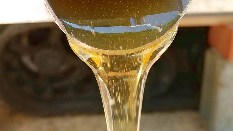 スティックはちみつ 10g×10本