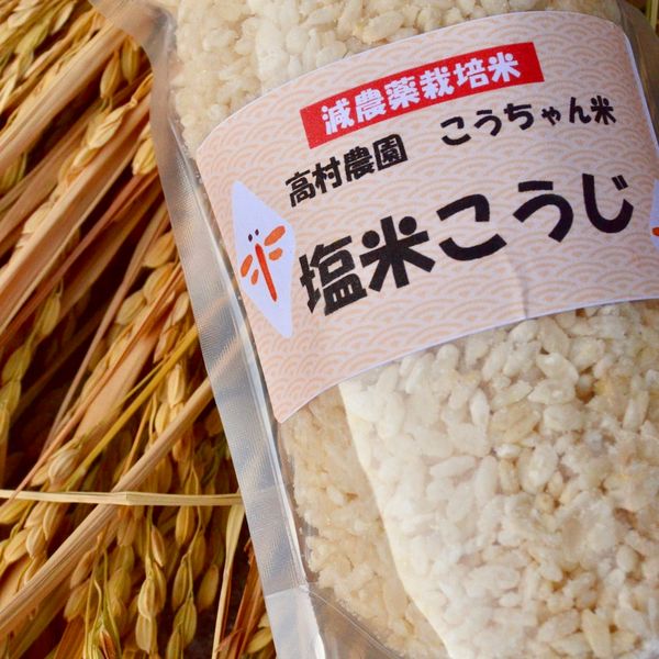 塩米こうじ　250g×2パック