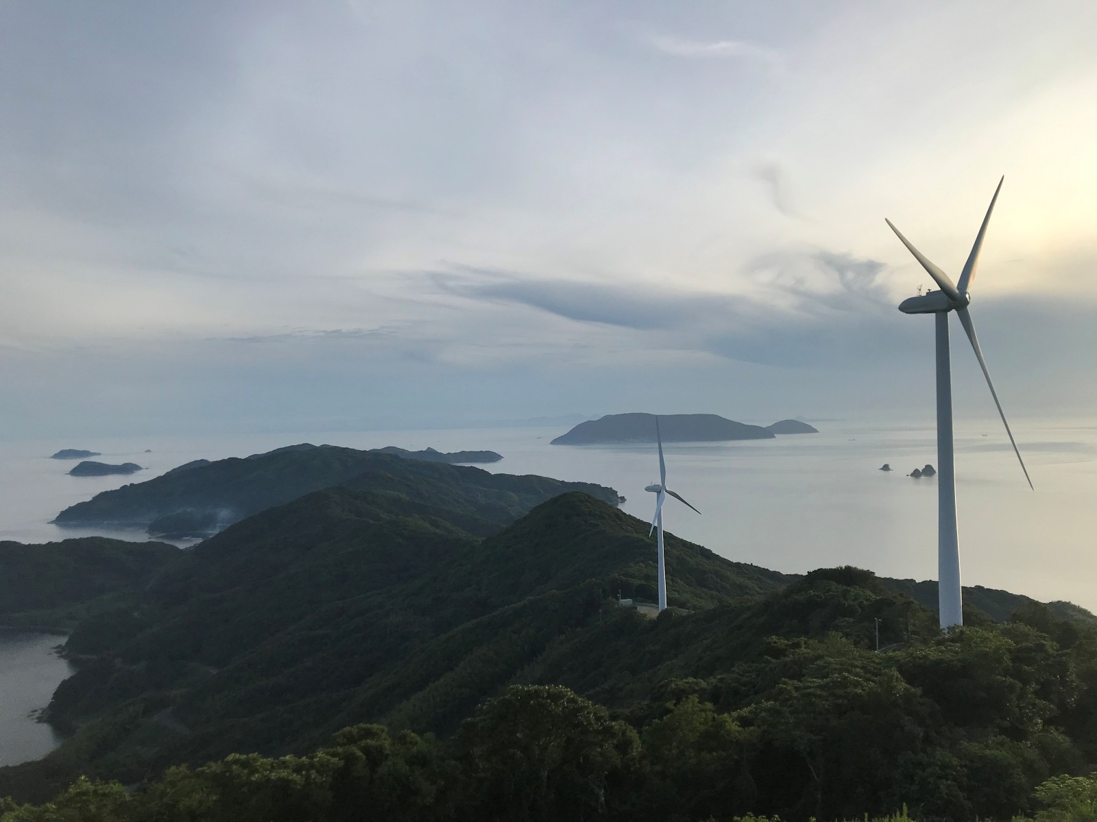 多島海（TATOUMI）生原酒  720ml＜日本酒＞