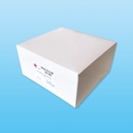 �ǥ����ݥ���åףţ� �� ��������ڥǥ����ݥ���åס�