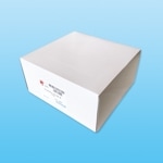 �ǥ����ݥ���åףţ� �� ��������ڥǥ����ݥ���åס�