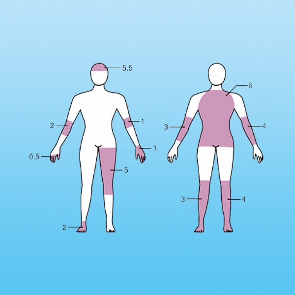 Х塼եå  ߿Ĺڥͥåӡ