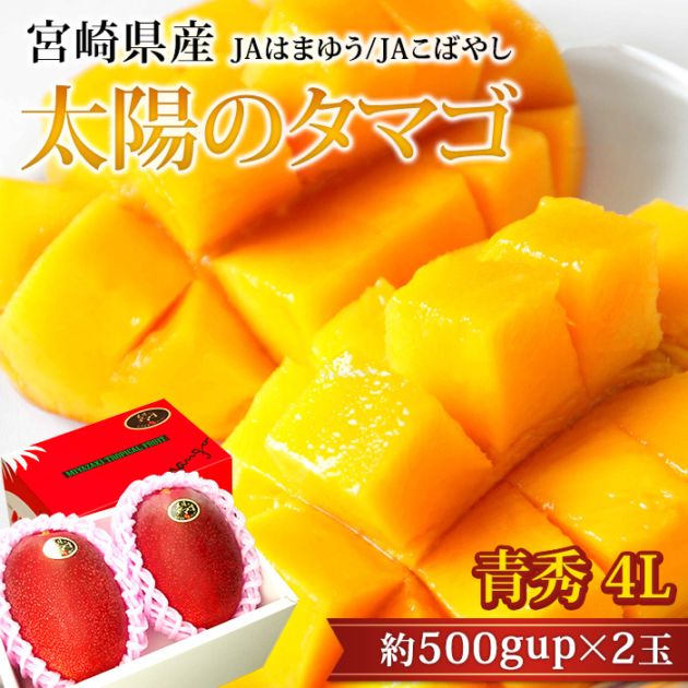 �ܺ�ޥ󥴡� ���ۤΥ��ޥ� �Ľ� 4L������ 2�� �ܺ긩�� ����ľ���ڥޥ󥴡� �ޤ󤴡� ���ϥޥ󥴡� ������ �ե롼�� ��ʪ ����� �ե��������ǡ� ���ե� £�� �ץ쥼��� £��ʪ�ۡڻ�ľ�ץ�ߥ����