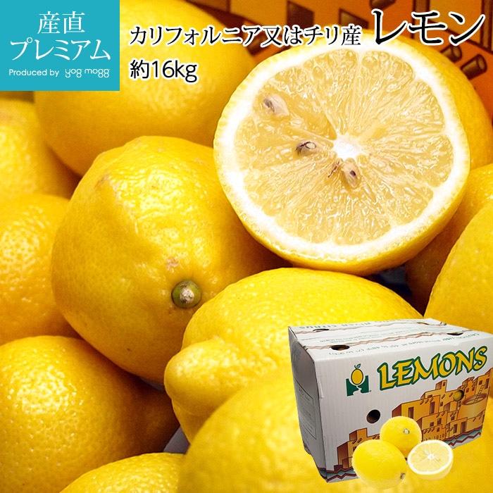 ���� ��16kg 95�ġ�115�ġ�140�ġ�165�� ����ե���˥��� ���껺<br>�ڥ��� ���� ݦݨ ��ʪ �ե롼�� ���ե� £�� �ץ쥼��ȡۡڻ�ľ�ץ�ߥ����