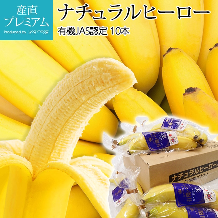 �Хʥ� �ʥ�����ҡ����� 10�� 1Ȣ ͭ��JASǧ�� �������ɥ뻺 �ڥ롼���ڤФʤ�/ͭ���Хʥ�/ͭ���Фʤ�/�������ɥ�/JASǧ��/������/�ե롼��/��ʪ/���ե�/£����/�ץ쥼���/��ˤ��ۡڻ�ľ�ץ�ߥ����