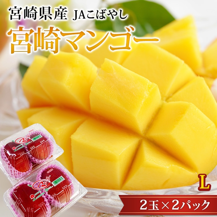 フルーツ,マンゴー,宮崎マンゴー,5,000円以上 | 高級フルーツ(高級果物