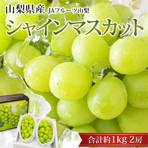 �֤ɤ� ���㥤��ޥ����å� ��1kg 2˼ �������� �ϥ������� ����ľ��<br>�ڥ֥ɥ� ��ƺ �ޥ����å� ������ �ե롼�� ��ʪ ���ե� £�� �ץ쥼��� ��ˤ� �л��ˤ��ۡڻ�ľ�ץ�ߥ����