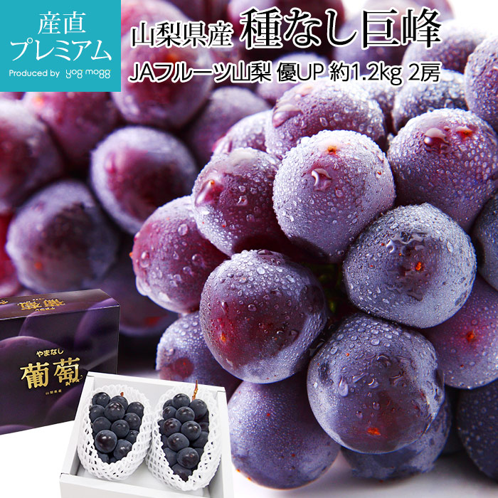 ֤ɤ ʤ  ͥå 1.2kg 2˼  ϪϺ ľڤۤ ̵ ƺ ֥ɥ ե롼 ե £ ץ쥼 ˤ лˤۡڻľץߥ