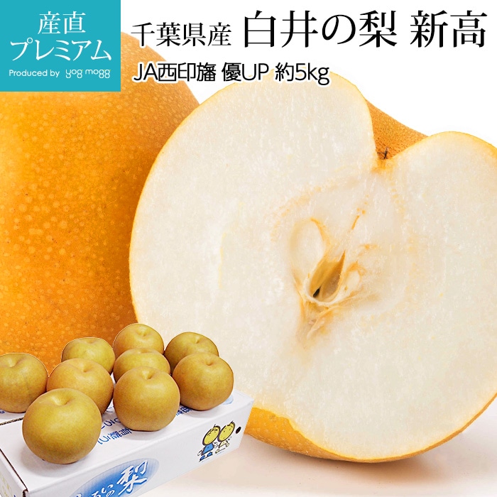 ʤ    ͥå 5kg 710 ո ľ<br> ʥ 餤 Τʤ  ե롼 ʪ ե £ ץ쥼 ˤ лˤۡڻľץߥ